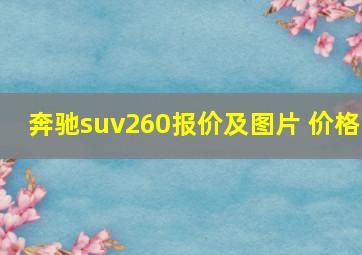 奔驰suv260报价及图片 价格